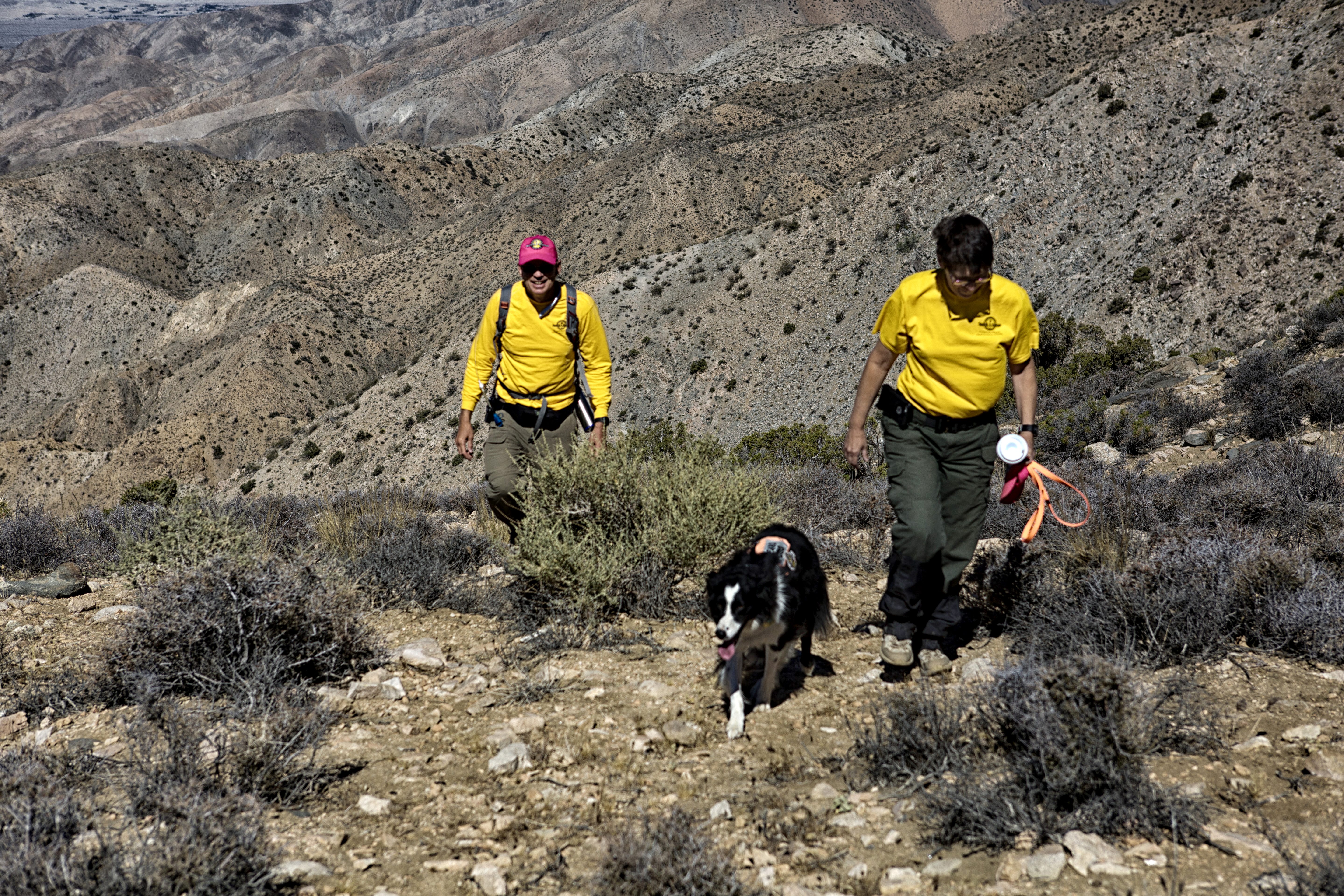 Byron Cook and Alice Waltermire with Montana while search Keys P