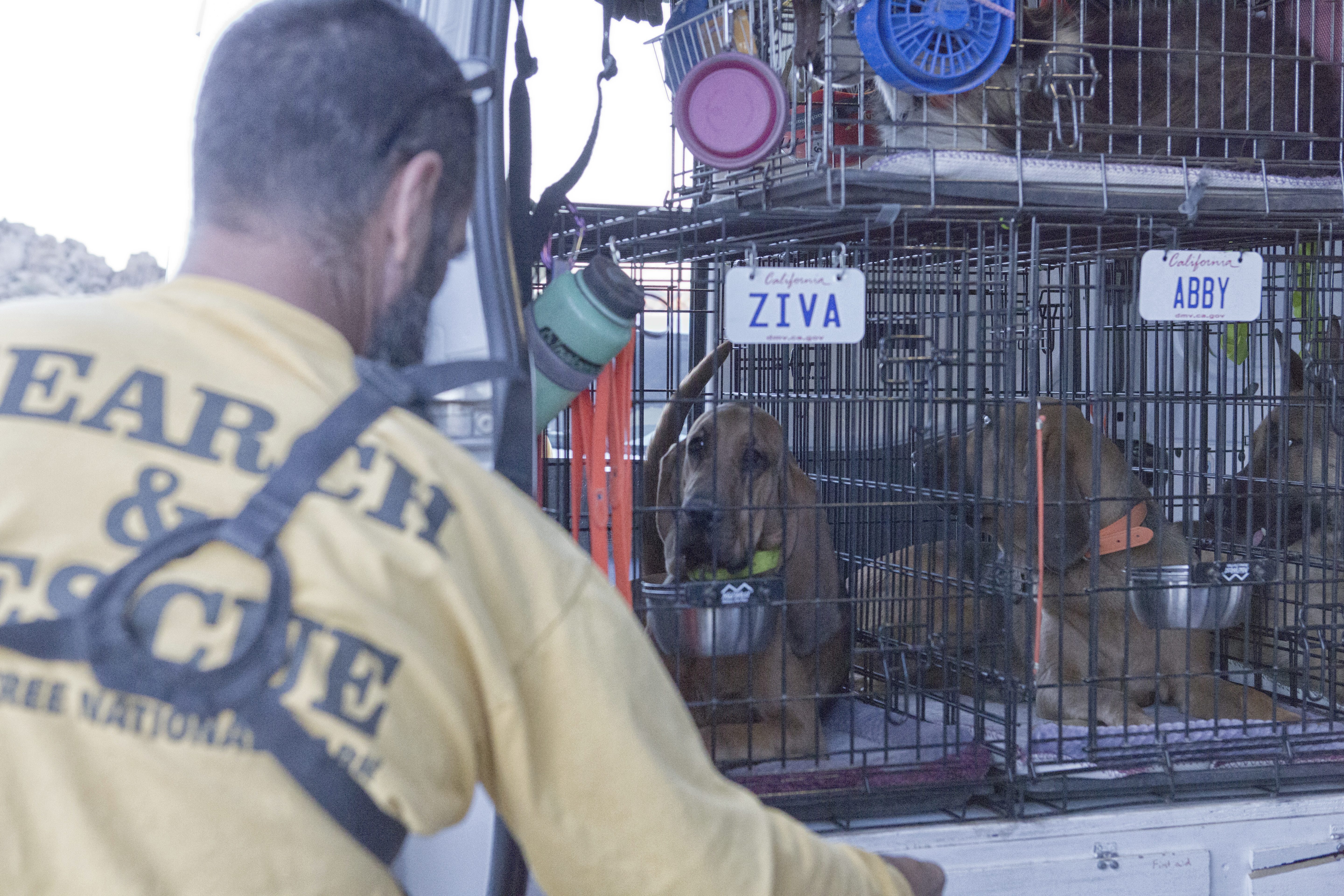 Jamie Bustamante reaching into the van for equipment